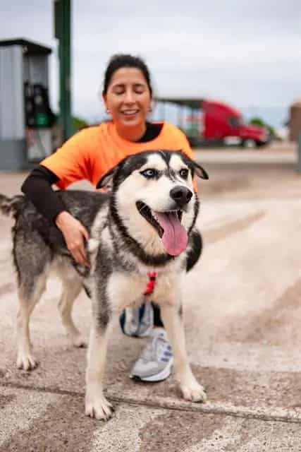 Photo of Sam, adoptable Mixed Breed