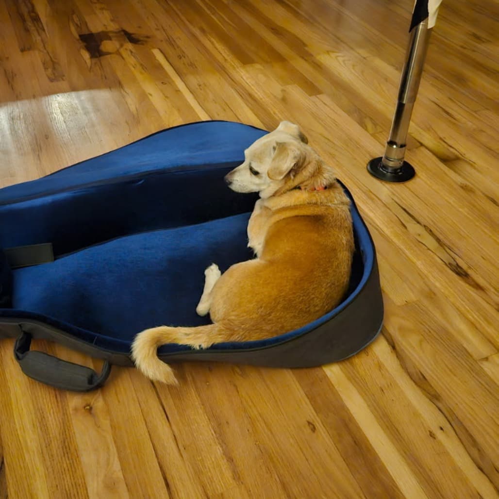 Nuggie, photo 19