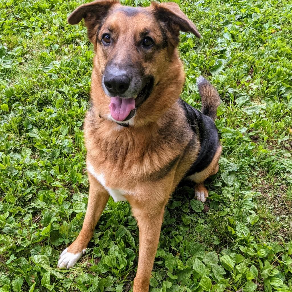 Rusty, photo 75