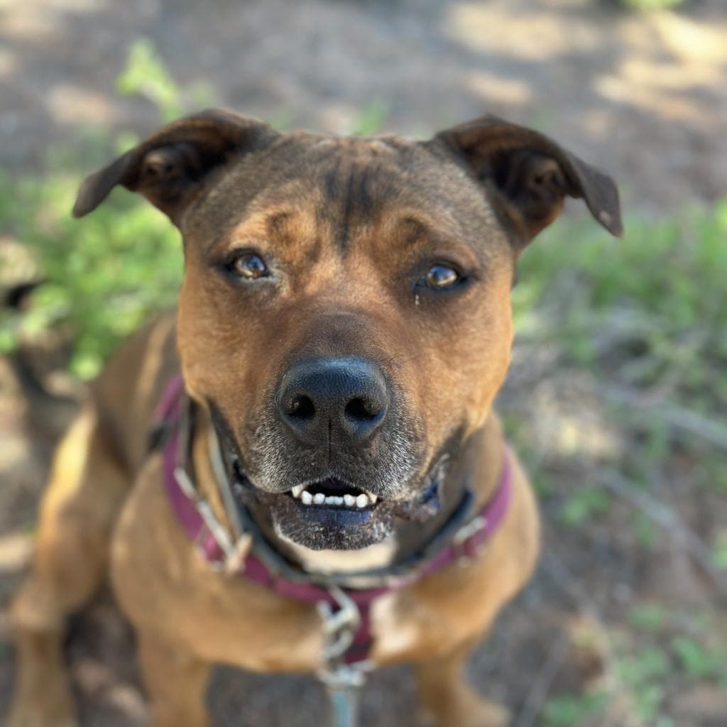 Ember, photo 6