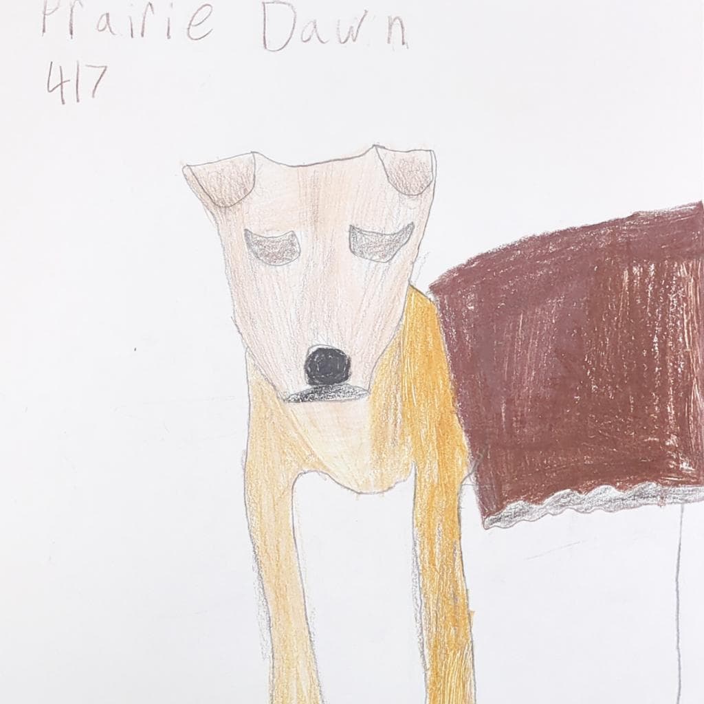 Prairie Dawn, photo 3
