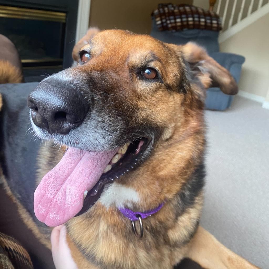 Rusty, photo 40