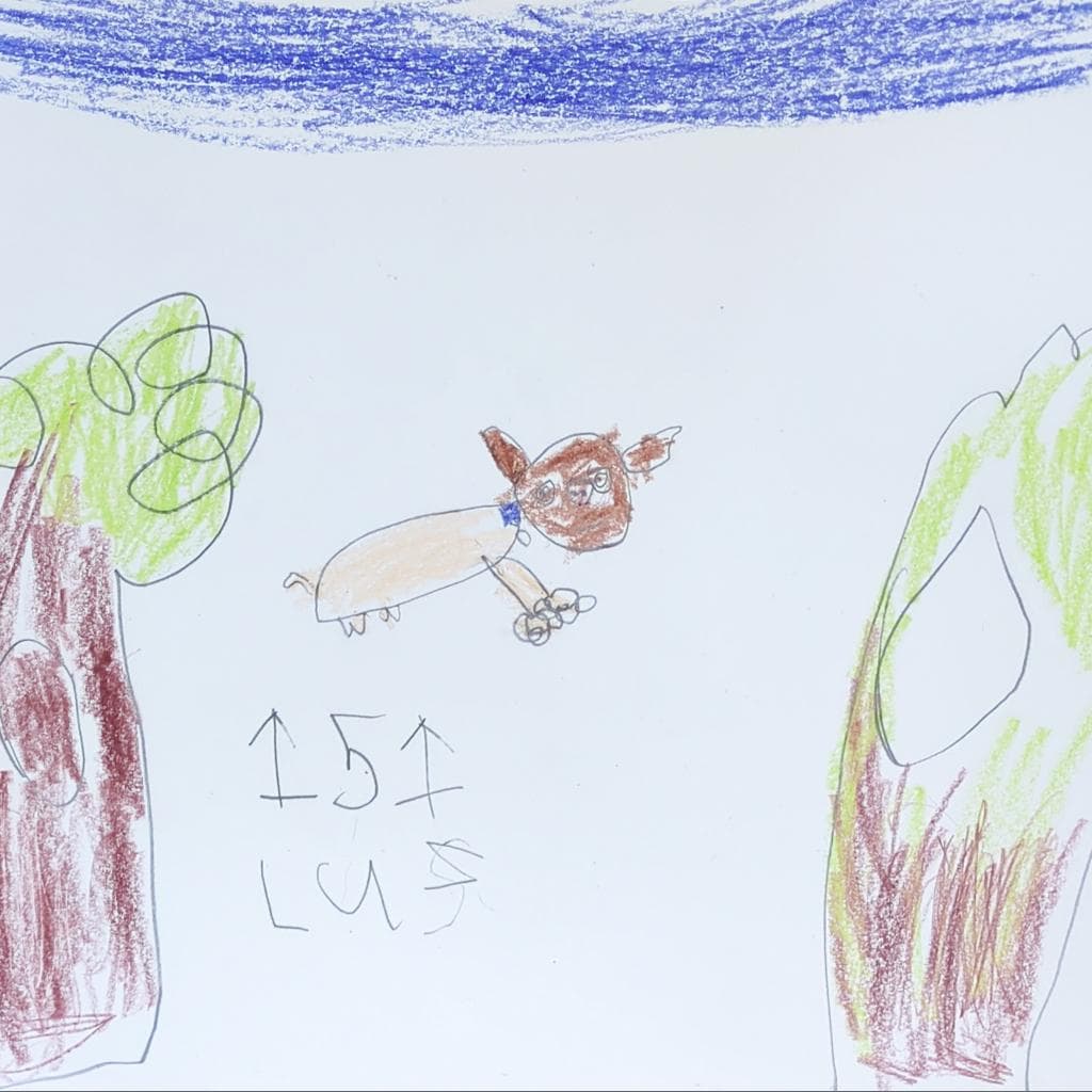 Luz, photo 3