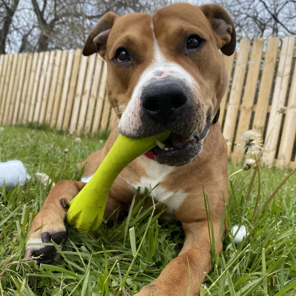 Hercules, photo 18