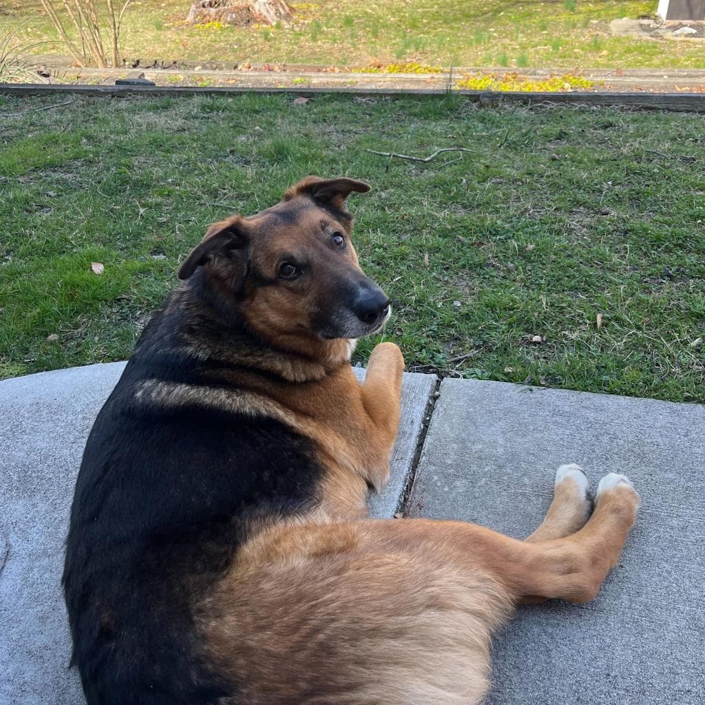 Rusty, photo 25