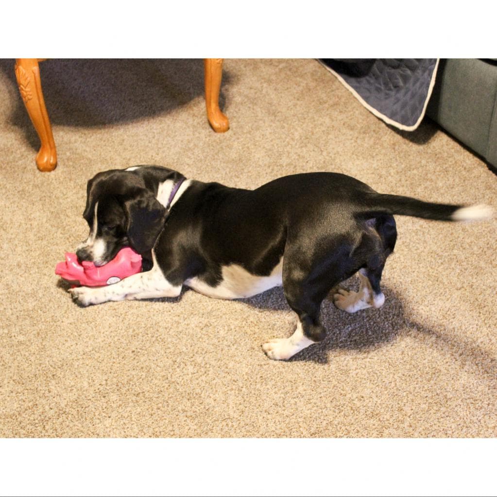 Lowrider Tina, photo 4