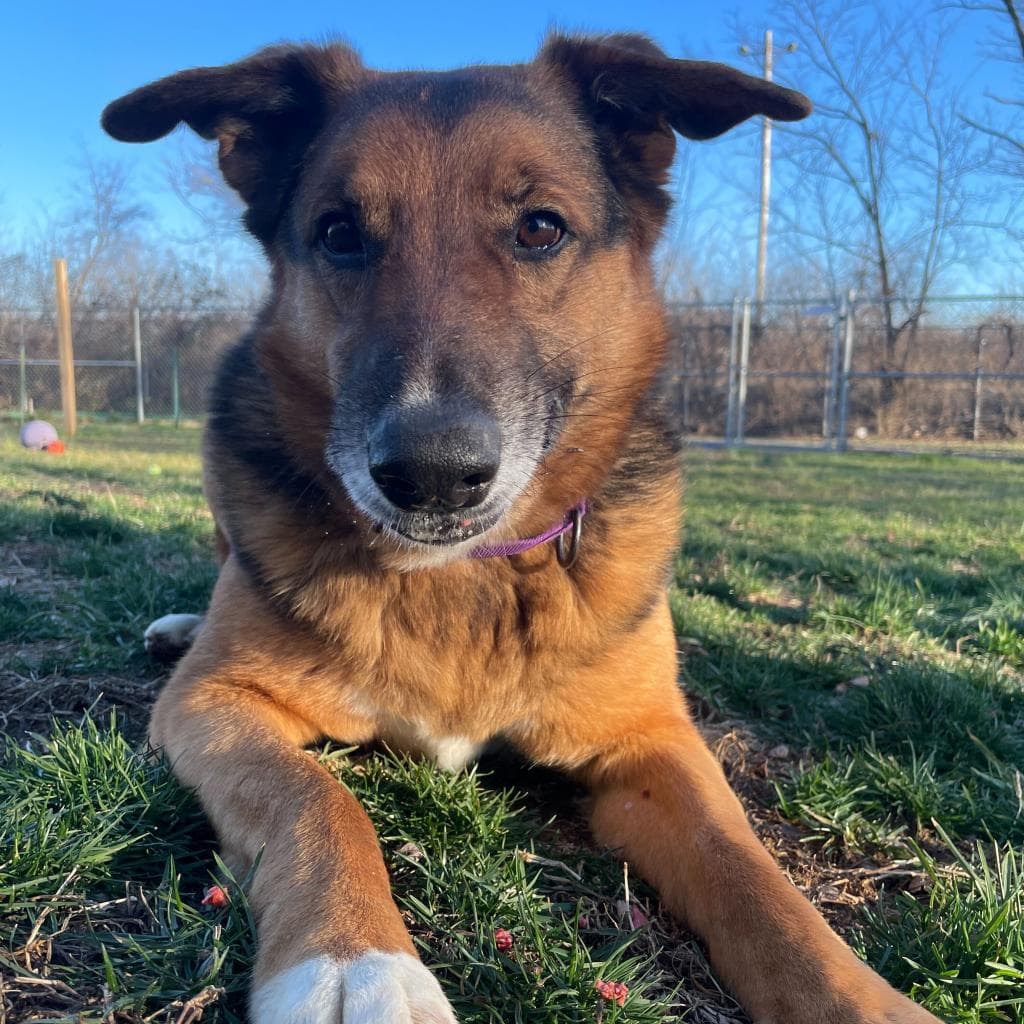 Rusty, photo 65
