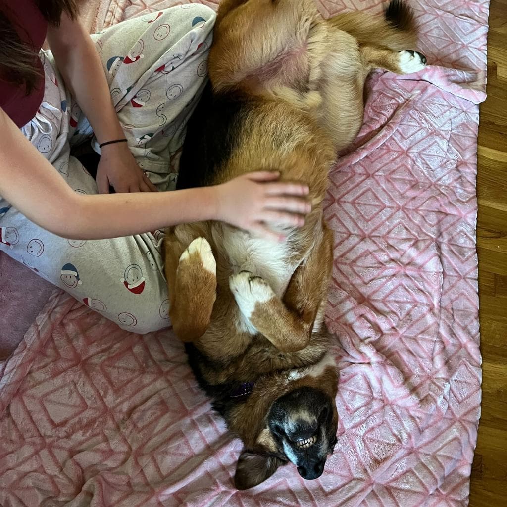 Rusty, photo 13