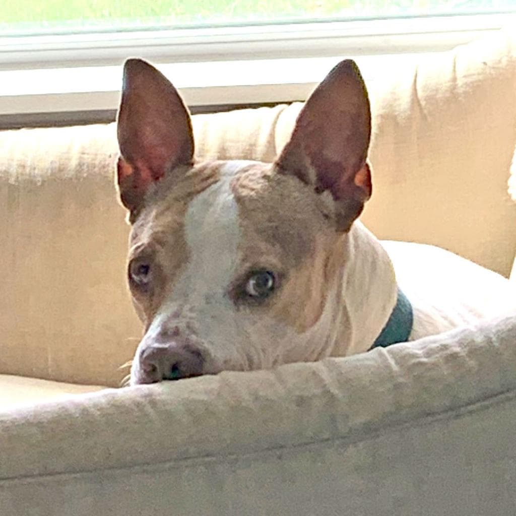 Cash, photo 9