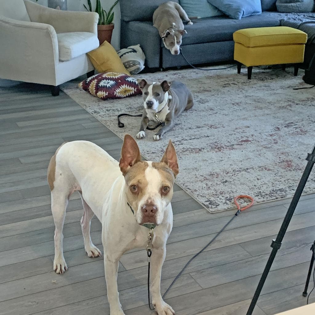 Cash, photo 10