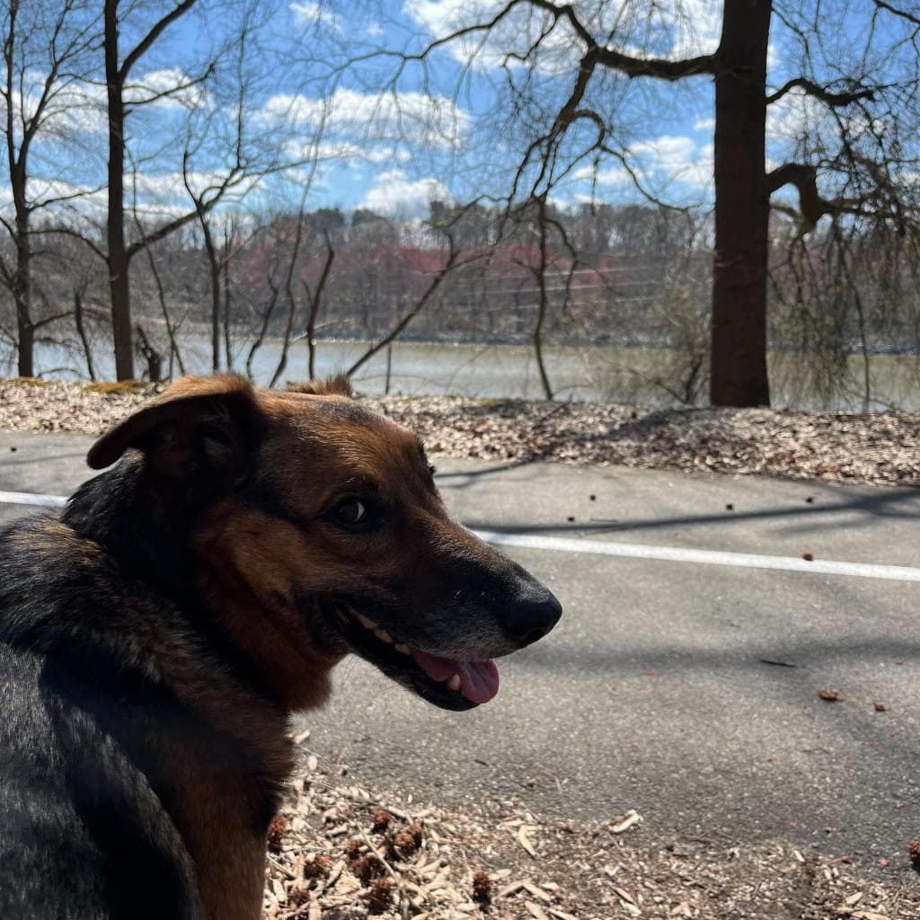 Rusty, photo 24