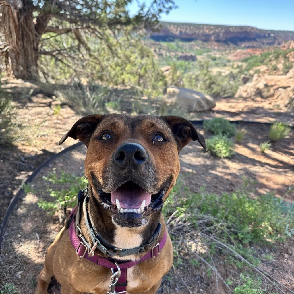 Ember, photo 7