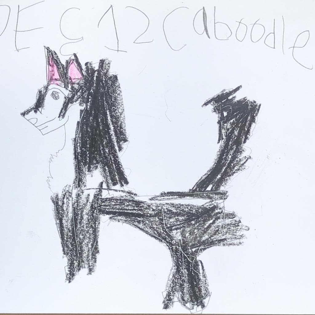 Caboodle, photo 2