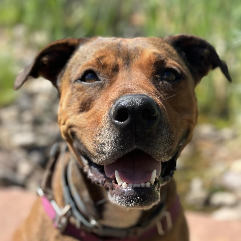 Ember, photo 9