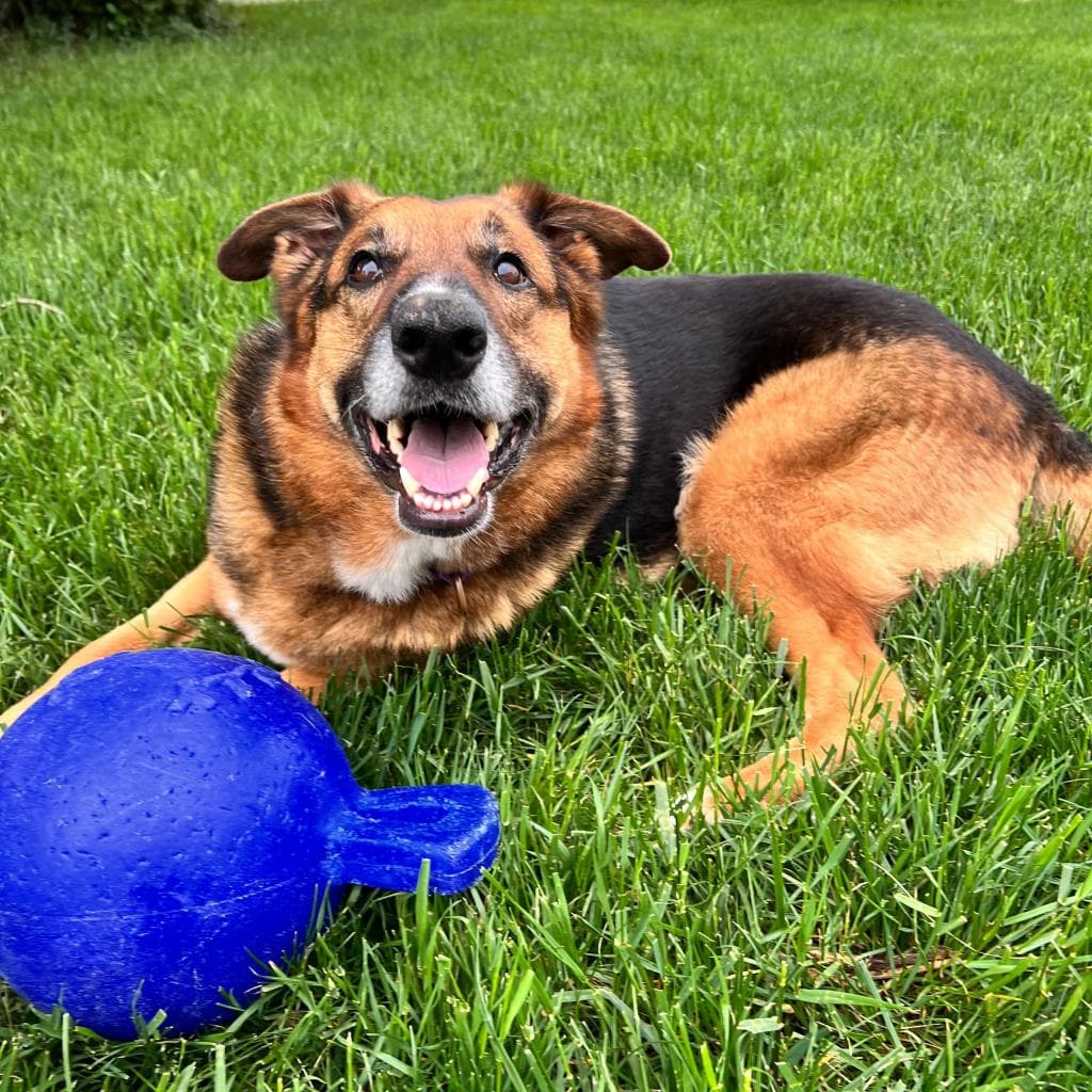 Rusty, photo 7
