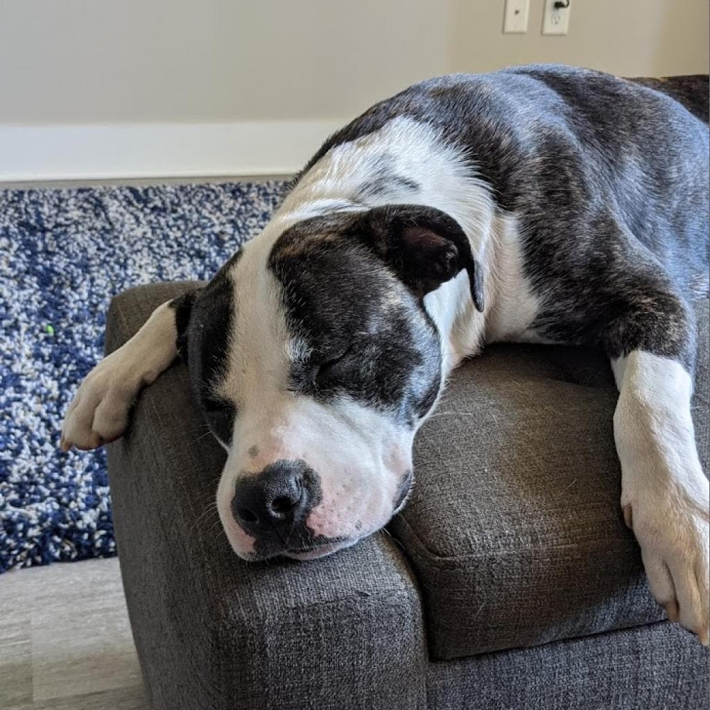 Hattie, photo 18