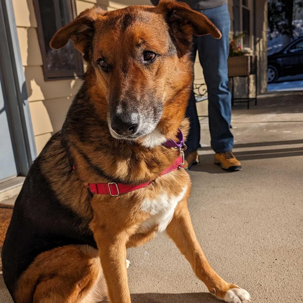 Rusty, photo 67