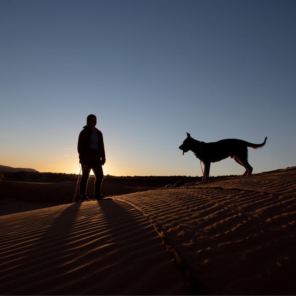 Pharaoh, photo 8