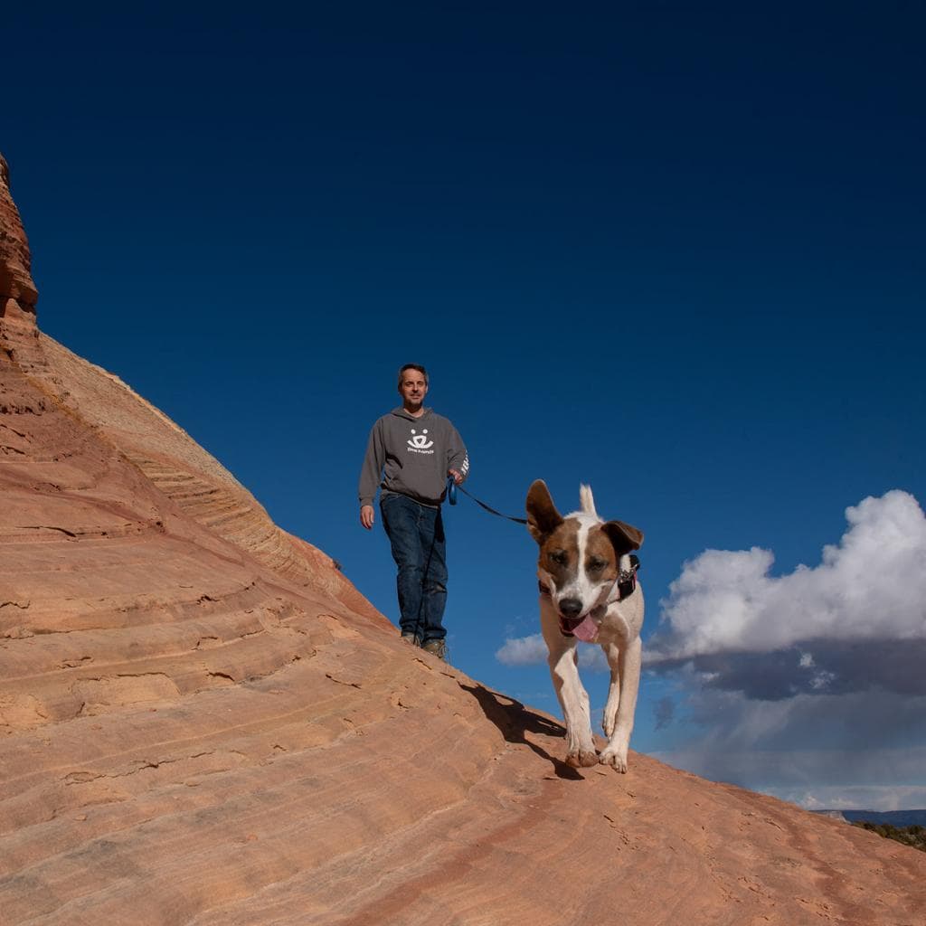Lannister, photo 9
