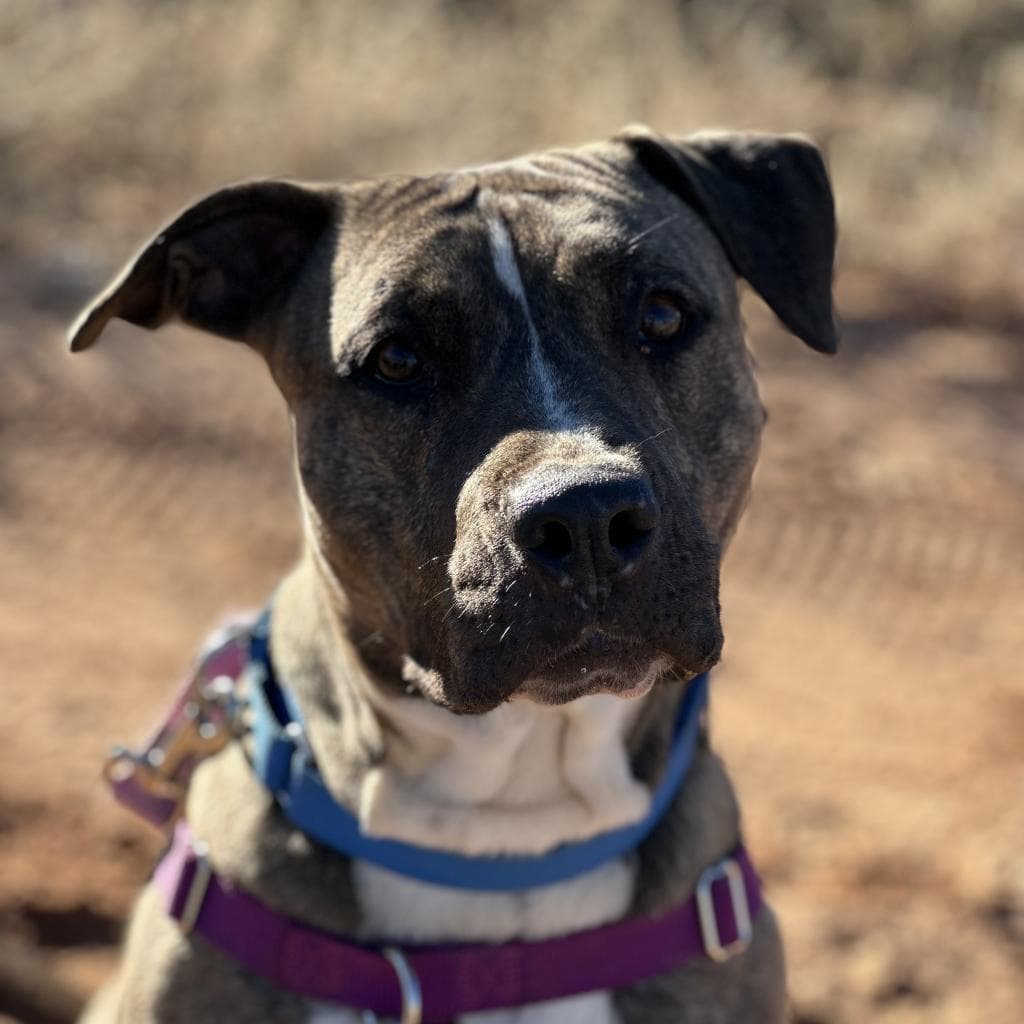 Lennie, photo 9