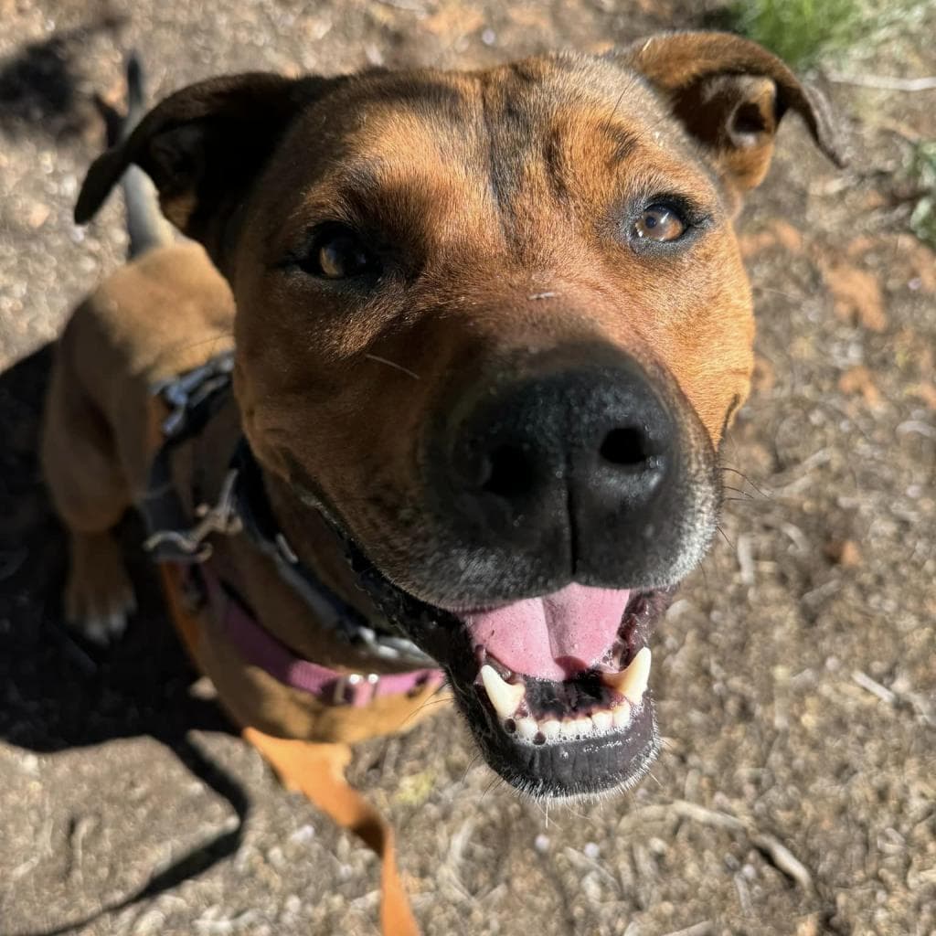 Ember, photo 11