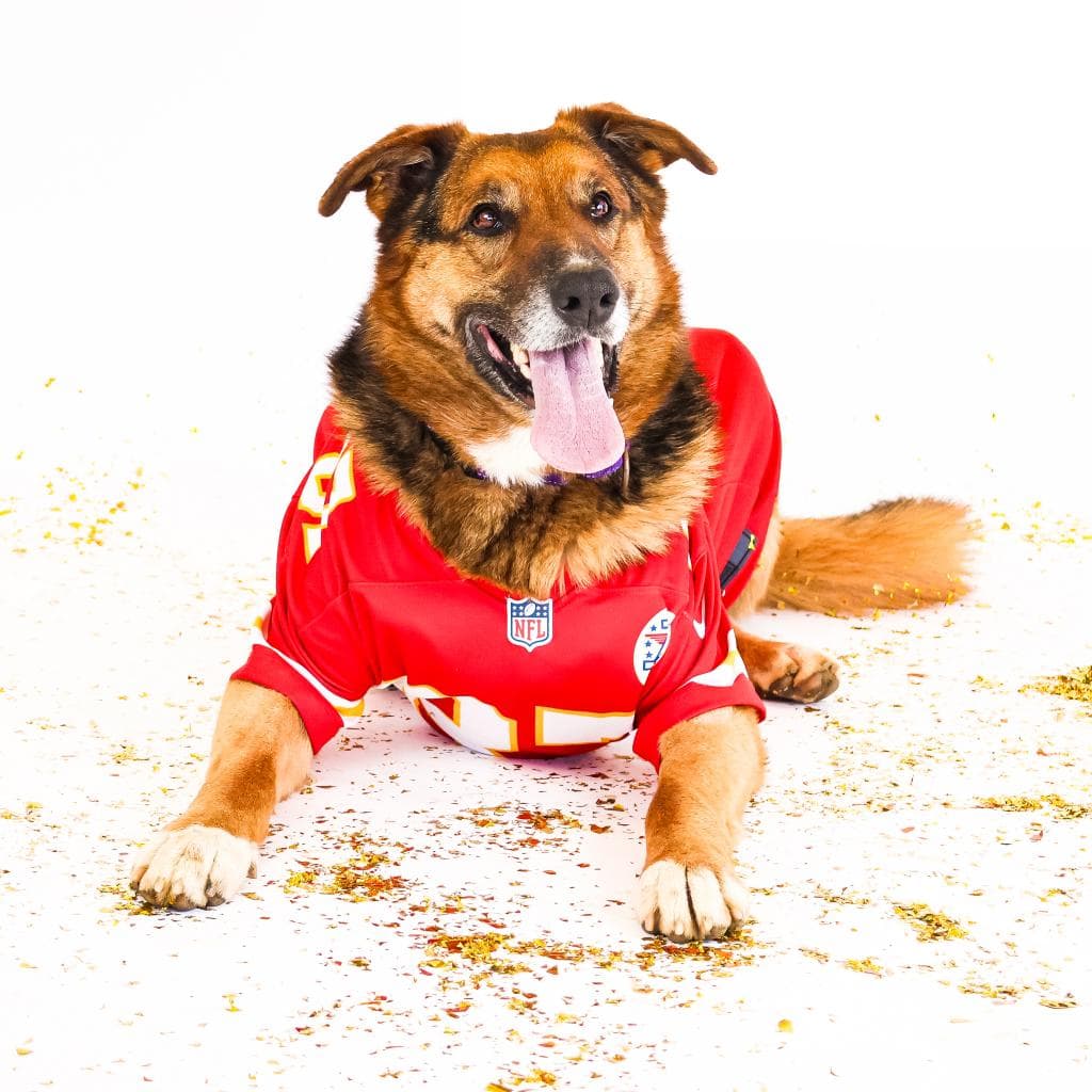 Rusty, photo 62