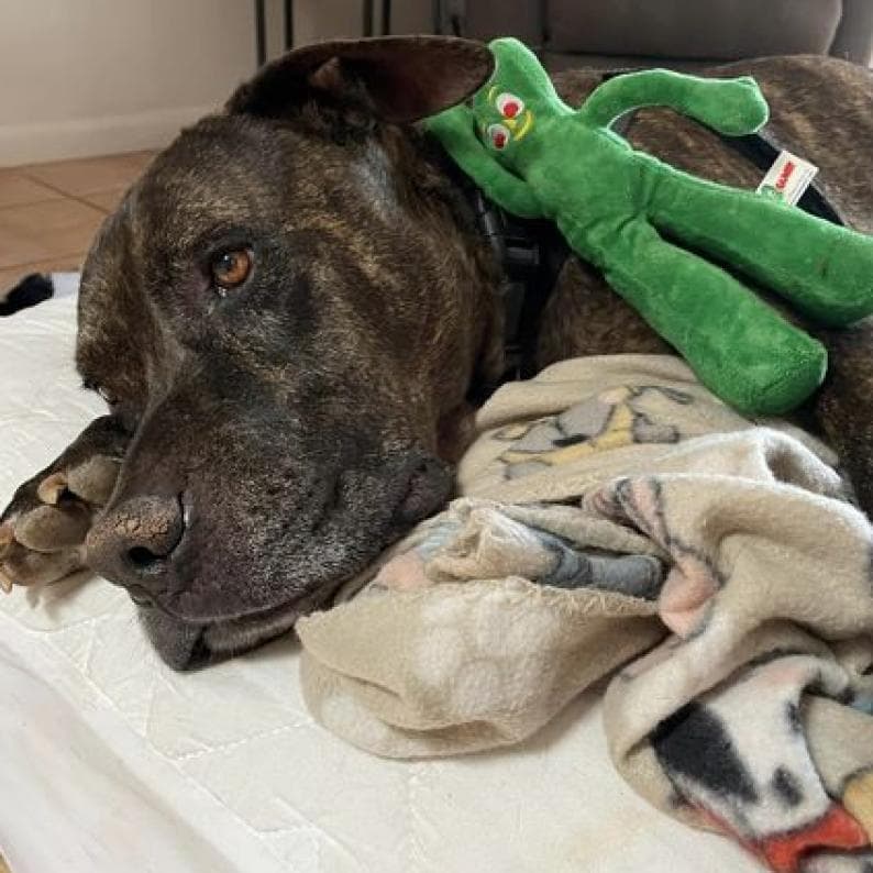 Buzz Lightyear, photo 5