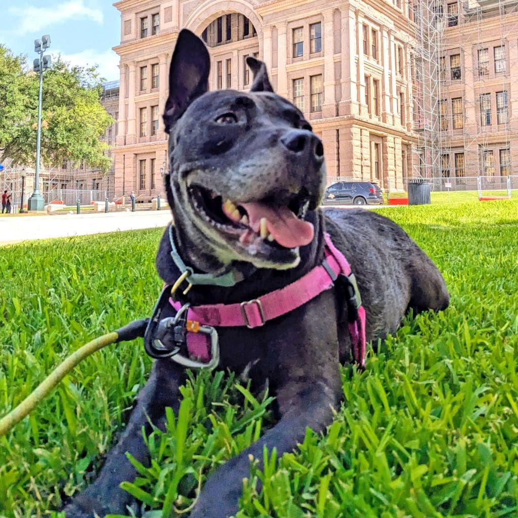 Zeus, photo 2