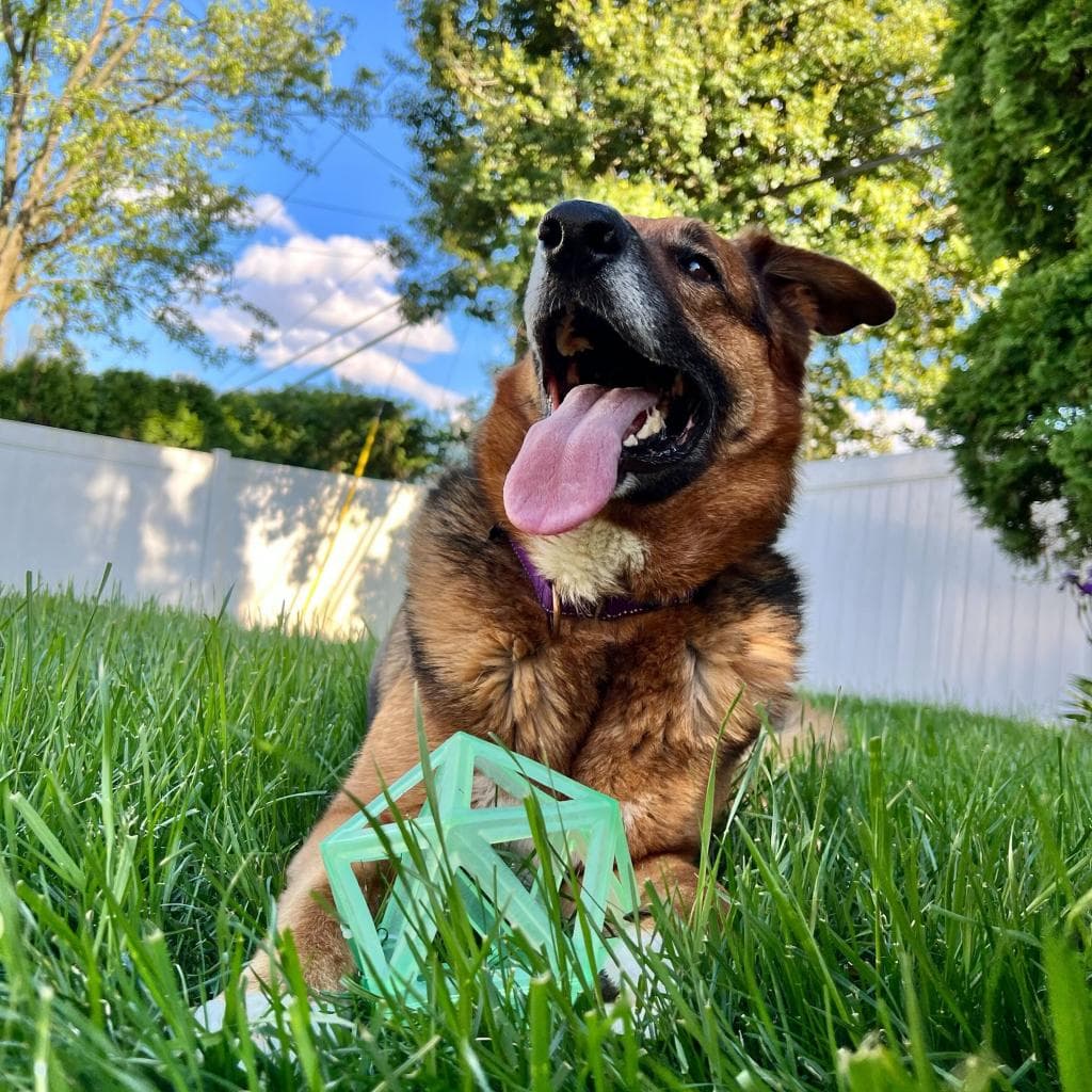 Rusty, photo 15