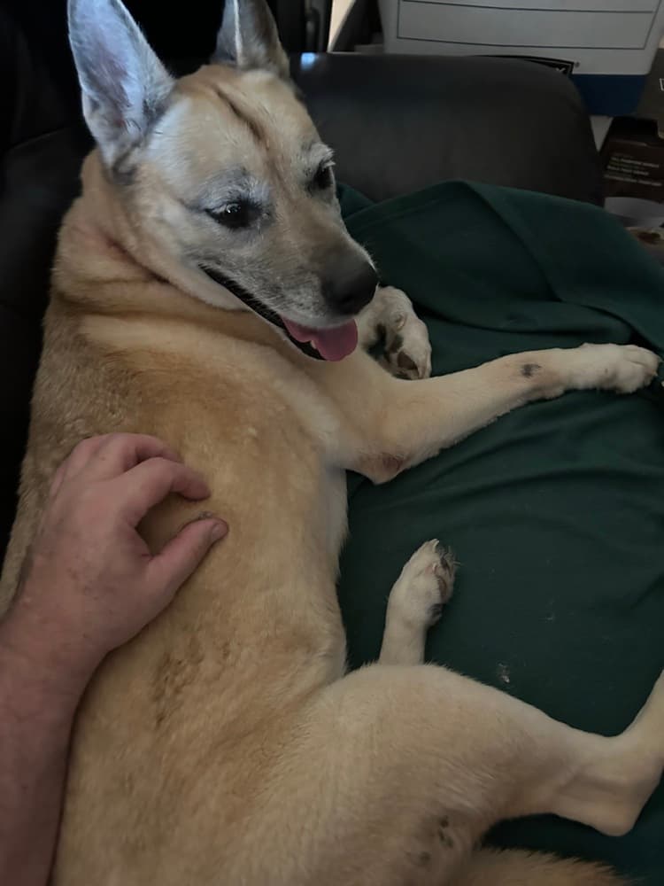Dakota, photo 3
