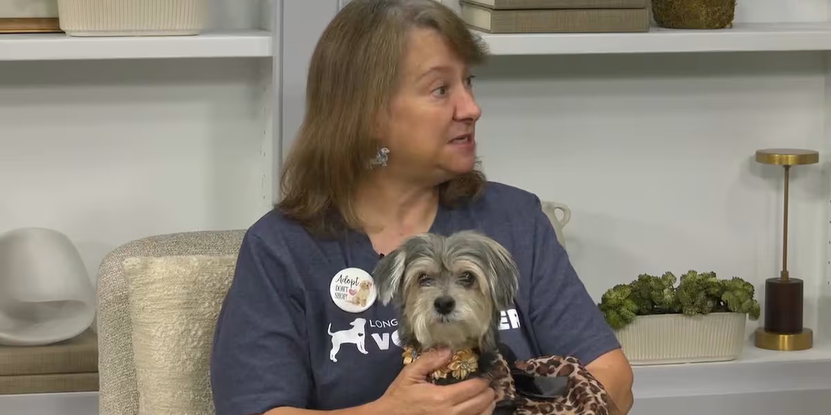 Pet of the Week: Meet Bailey!