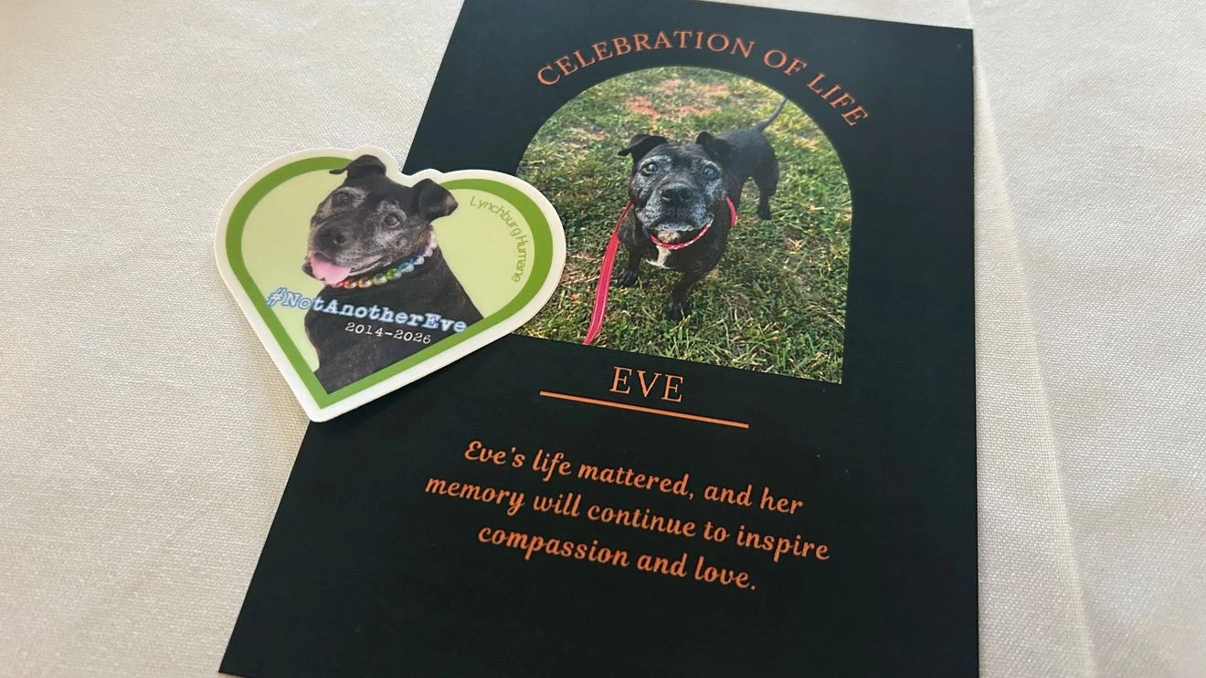 Vigil held to remember beloved LHS shelter dog that was euthanized in Danville