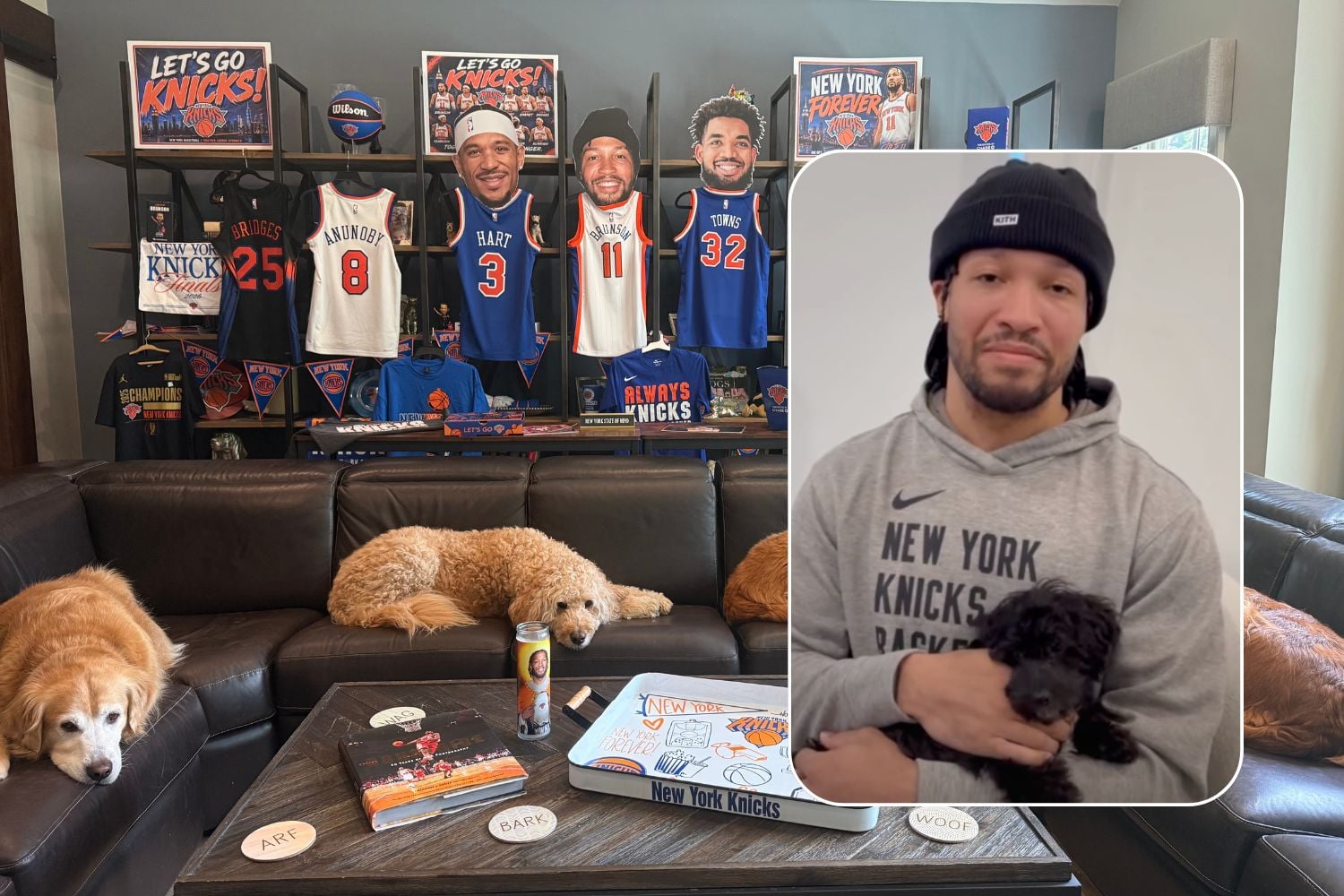 Jalen Brunson adopted Stevie from Long Island superfans who name their rescues after Knicks