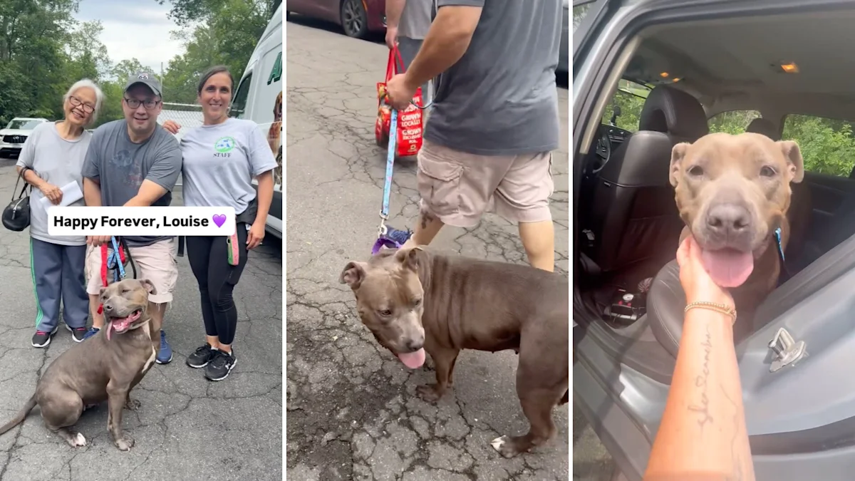 After 640 days in a New York shelter, Louise walks out to applause on her way home