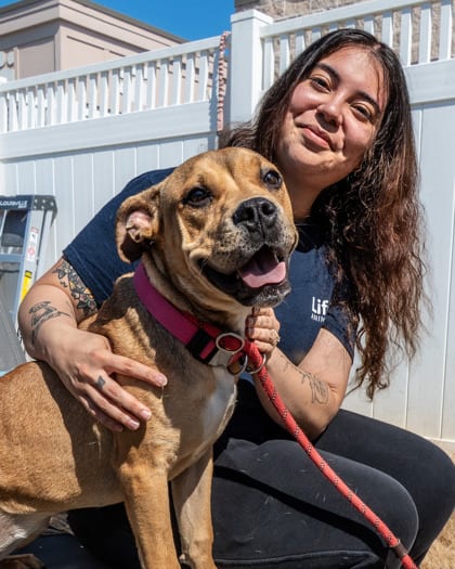 Photo of Lyric, adoptable dog in Chamblee, Georgia