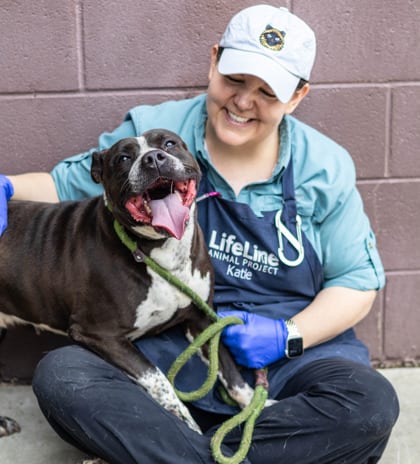 Photo of Fresca, adoptable dog in Chamblee, Georgia