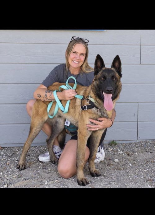 Photo of Seo, adoptable Belgian Shepherd Malinois in Santa Barbara, California