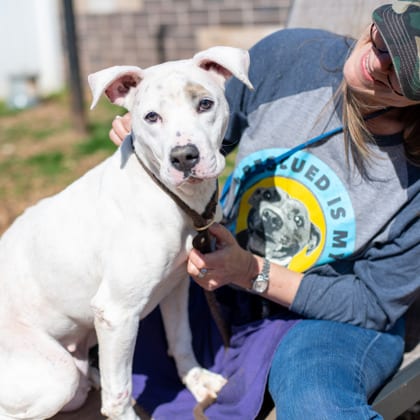 Photo of Mumpy - IN FOSTER, adoptable dog in Chamblee, Georgia