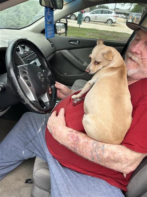 Photo of Penny, adoptable Chihuahua in San Antonio, Texas