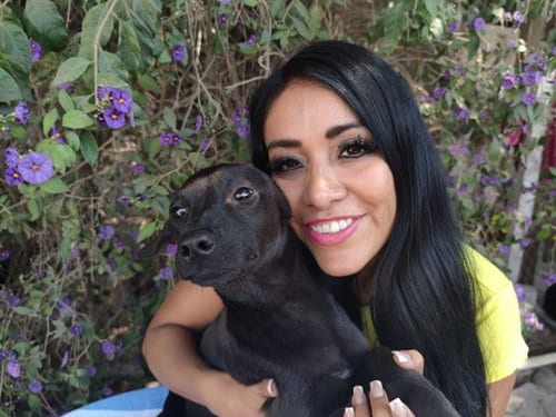 Photo of Jaguar, adoptable Black Labrador Retriever in San Diego, California