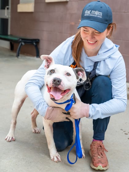 Photo of Sheina, adoptable dog in Chamblee, Georgia