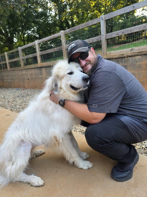 Photo of Minnie, adoptable Great Pyrenees in Thomasville, North Carolina