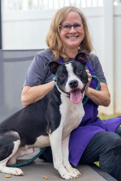 Photo of Jedi, adoptable dog in Chamblee, Georgia