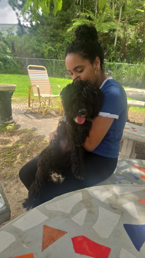 Photo of Bella, adoptable Poodle (unknown type) in Virginia Beach, Virginia