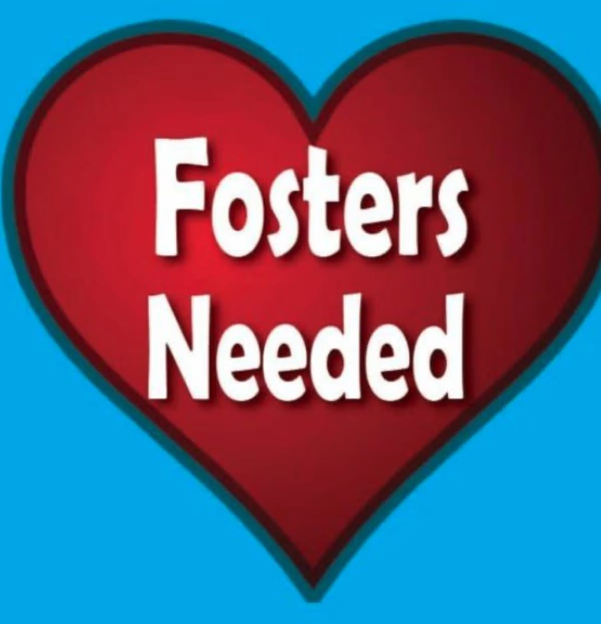 Photo of Calling All Dog Lovers, adoptable Mixed Breed (Medium) in Randolph, New Jersey