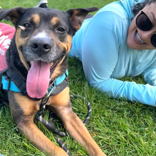 Photo of Edric, adoptable Australian Cattle Dog/Blue Heeler in Oakland, California
