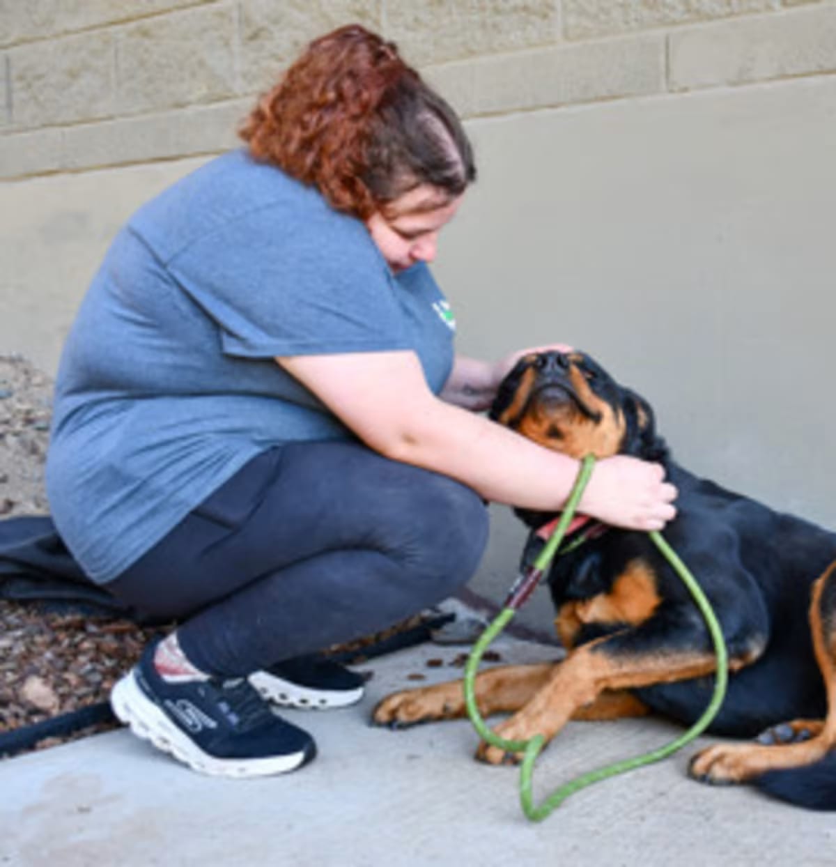 Photo of Lucy, adoptable Rottweiler in Yakima, Washington