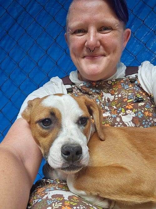 Photo of Bibbly (3mo, 13lbs), adoptable Hound in Hinton, West Virginia
