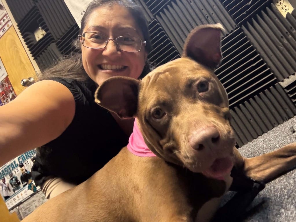 Photo of Bean, adoptable Terrier in Hartsville, South Carolina