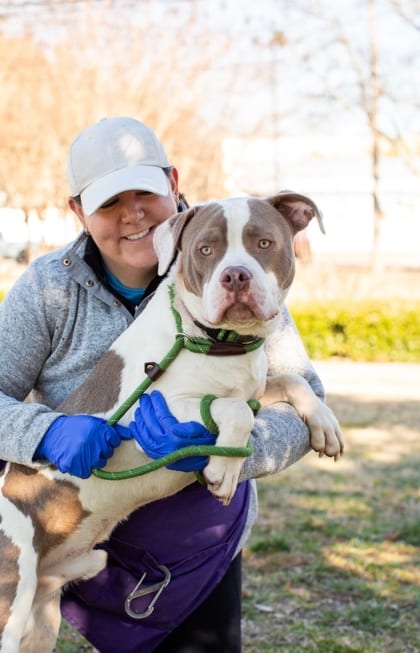 Photo of Vesto- IN FOSTER, adoptable dog in Chamblee, Georgia